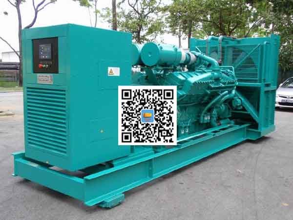 大城租赁发电机-康明斯发电机性价比还是比较高的